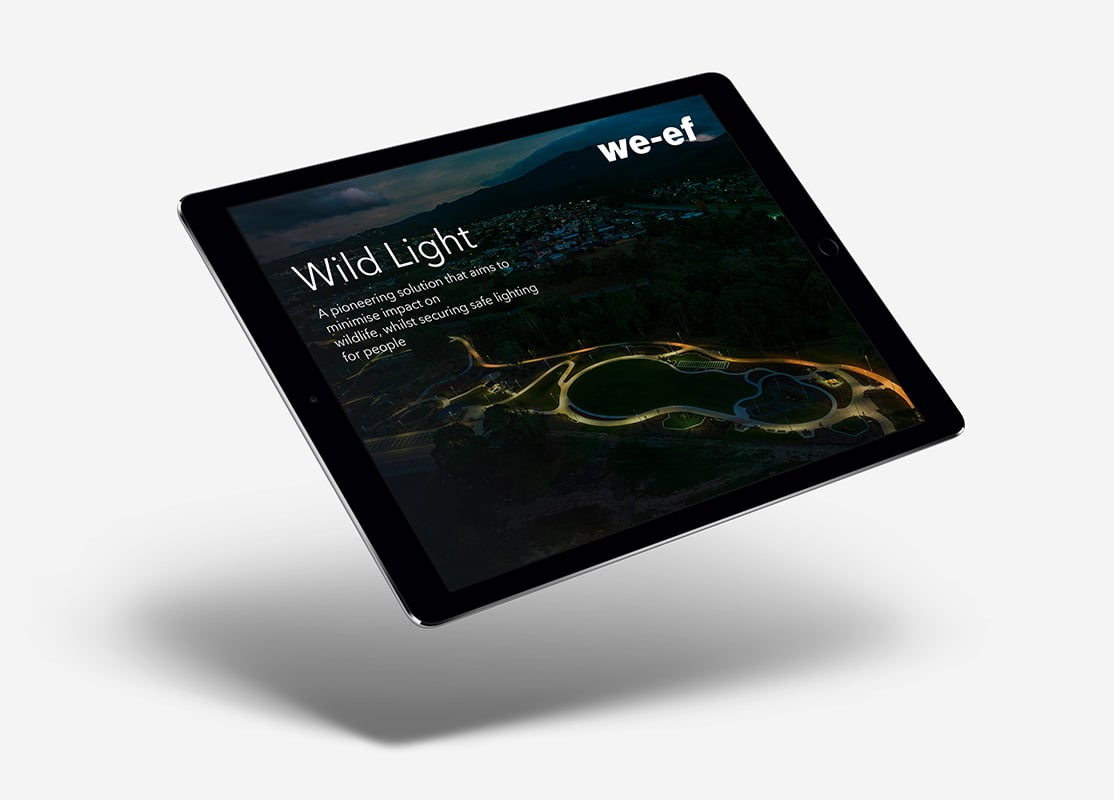 Wild light Image